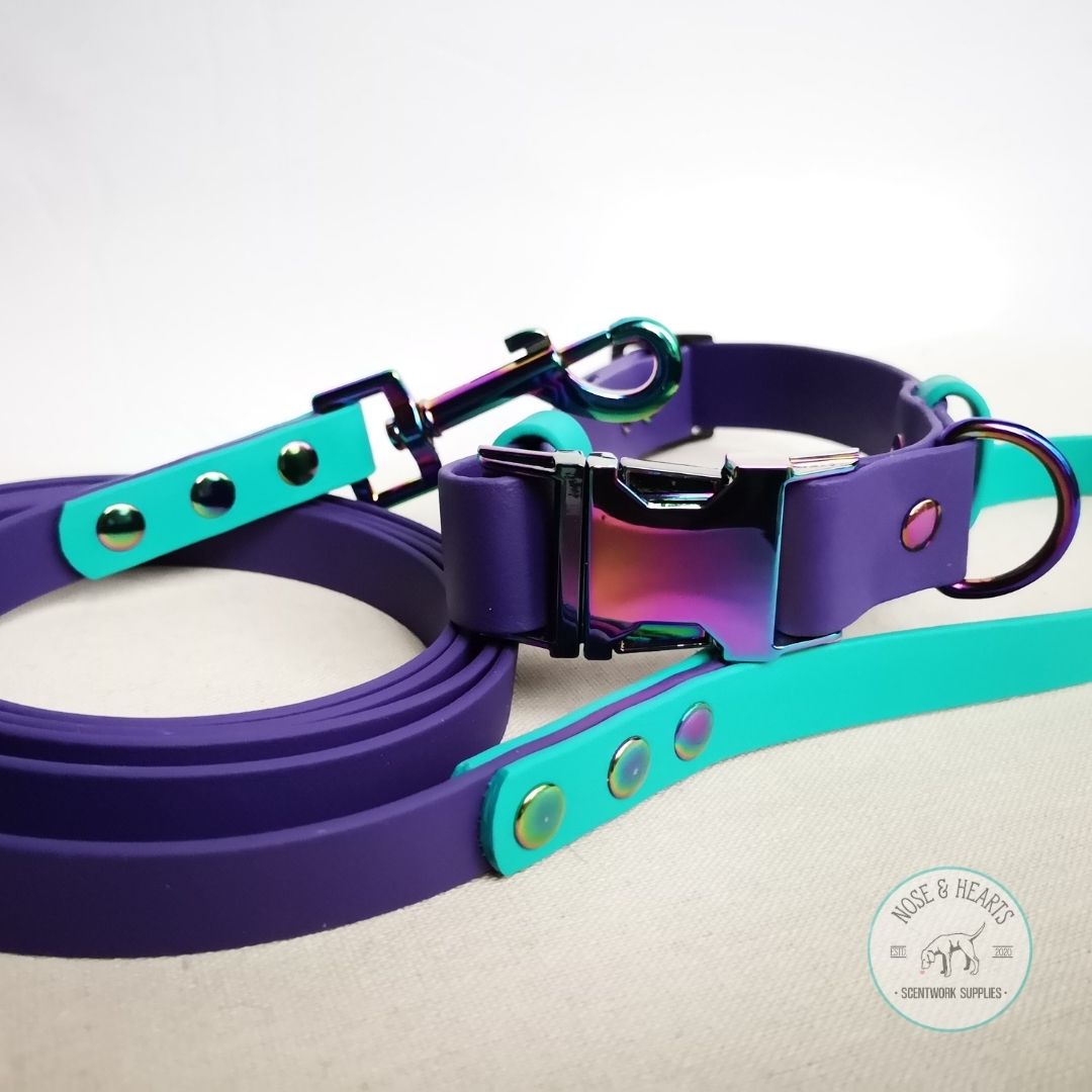 Main colour purple with accent colour (straps) teal