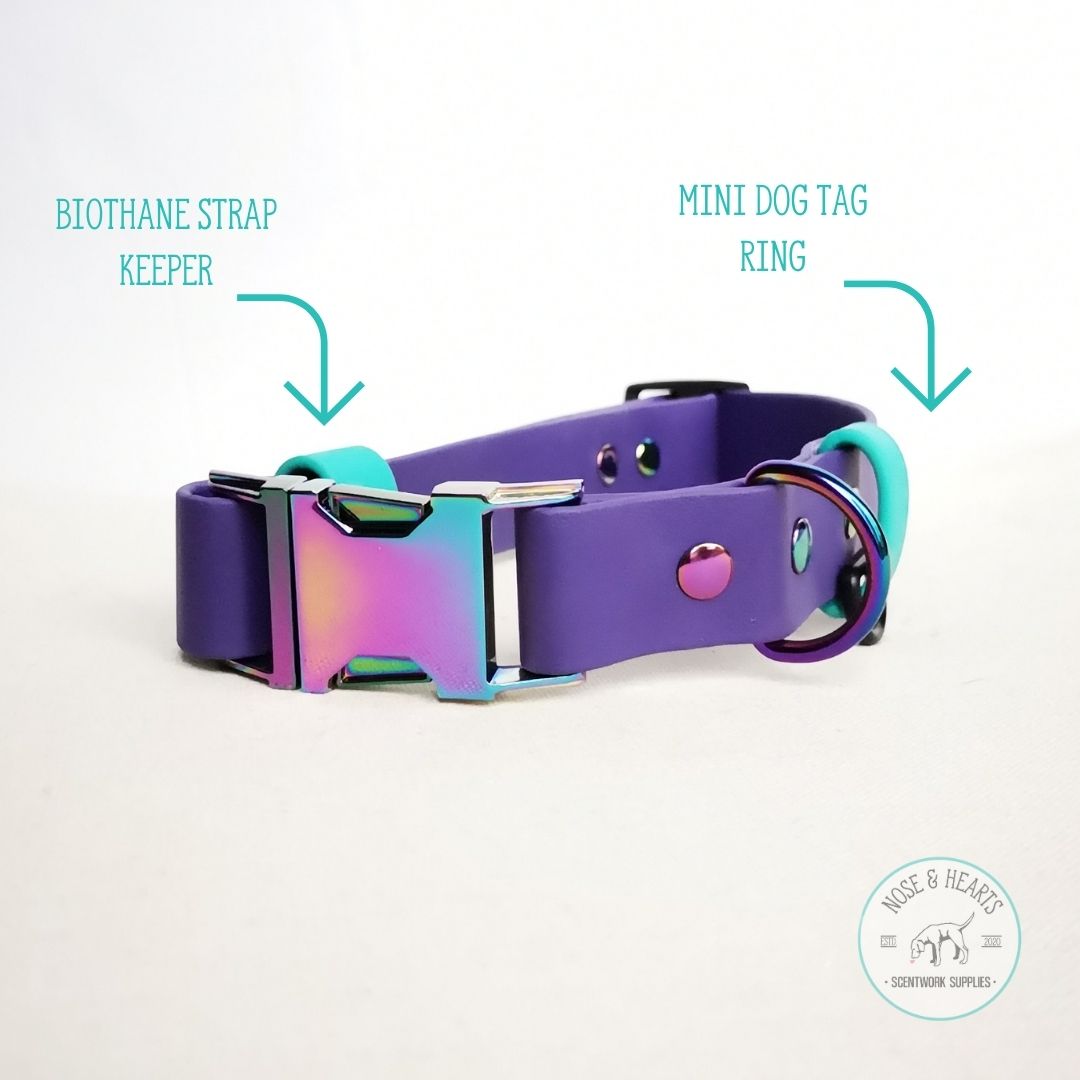 Main colour purple with accent colour (straps) teal