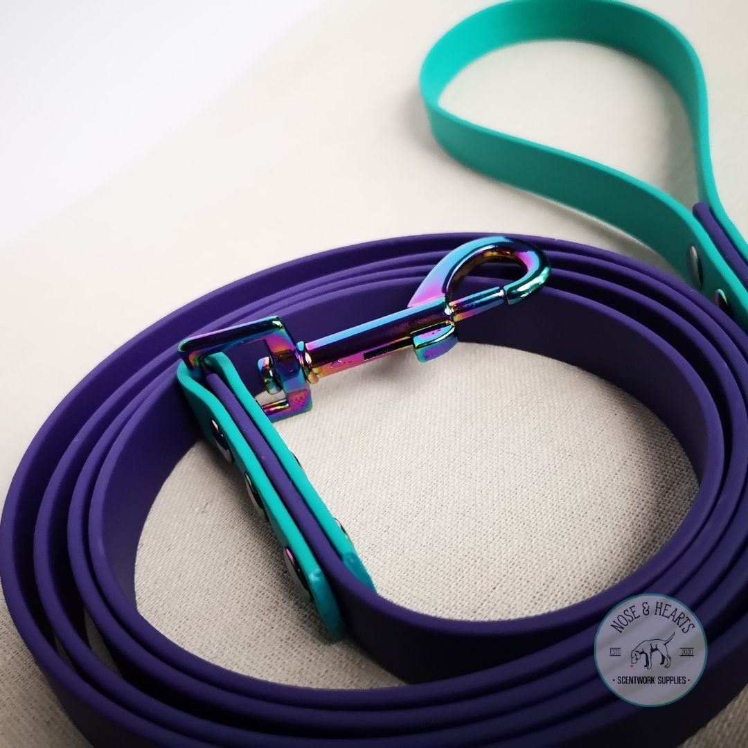 Purple & teal with rainbow hardware ($2)