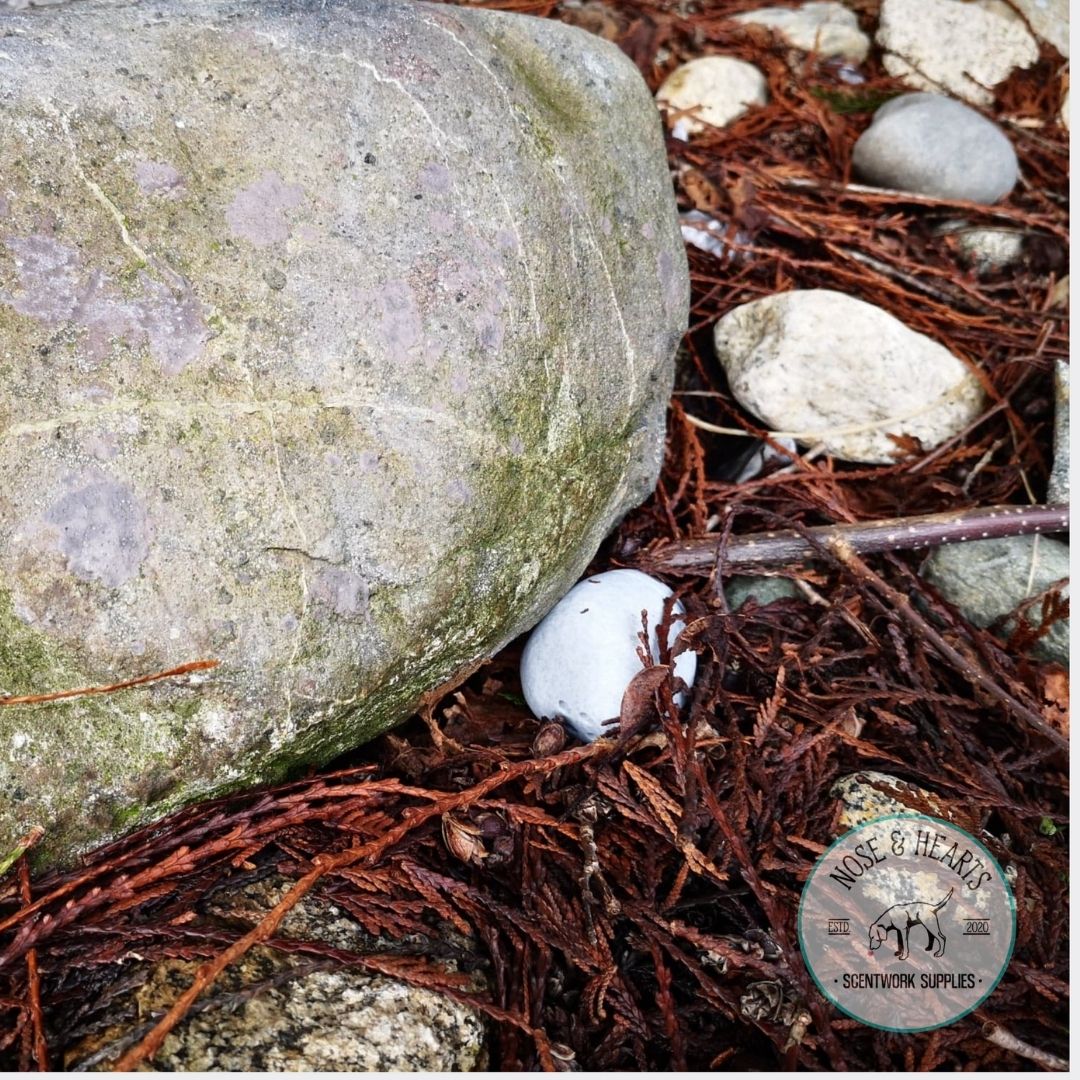 The rock vessel blending into it's environment