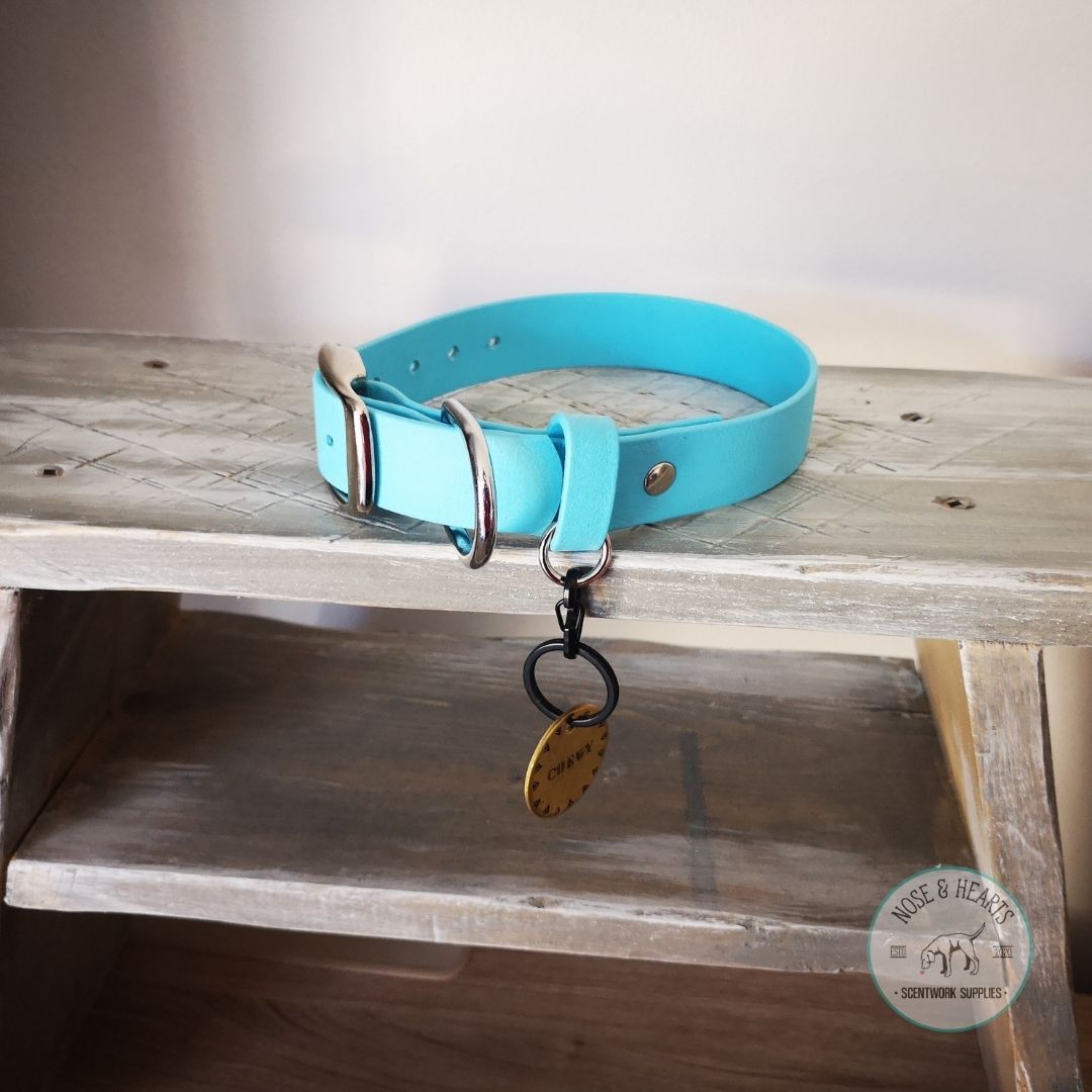 Sky Blue collar with a mini dog tag ring to hold your dog tags separately from the large D ring where your leash attaches!