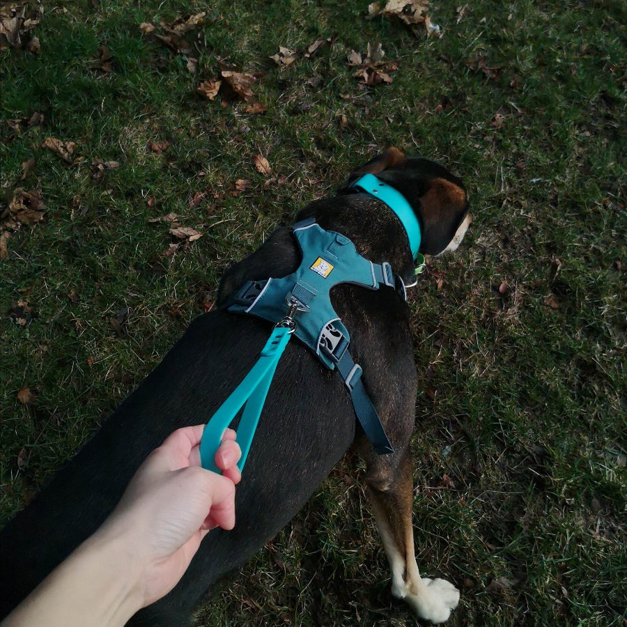 Teal traffic leash paired with teal Ruffwear Front Range Harness Aurora Teal and 1.5" Biothane Quick release collar